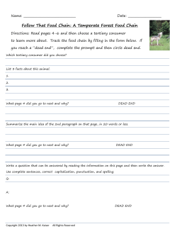 Follow That Food Chain - Stimulating Science Simulations...and so