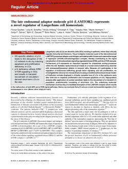 The late endosomal adaptor molecule p14 (LAMTOR2) represents a