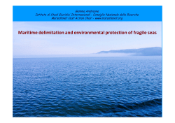 Maritime delimitation and environmental protection of