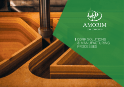 Cork Solutions and Processes