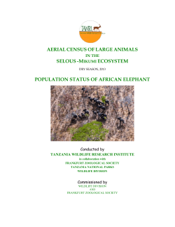 Selous Report on Elephants