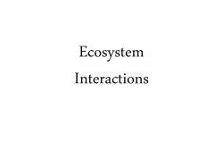 Ecosystem Interactions
