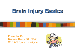 The Human Brain - BrainInjuryHelp.ca