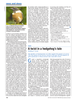 Cancer: A twist in a hedgehog`s tale