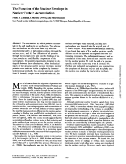 The Function of the Nuclear Envelope in Nuclear Protein Accumulation