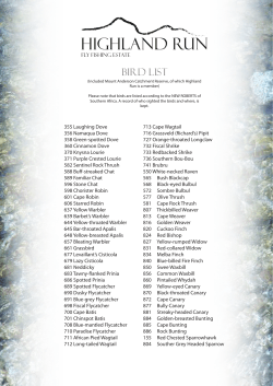 bird list