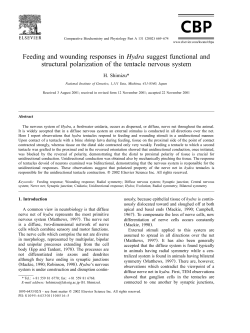 Feeding and wounding responses in Hydra suggest functional and