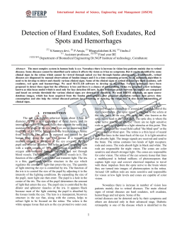 Detection of Hard Exudates, Soft Exudates, Red Spots and