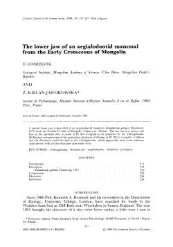 The lower jaw of an aegialodontid mammal from the Early