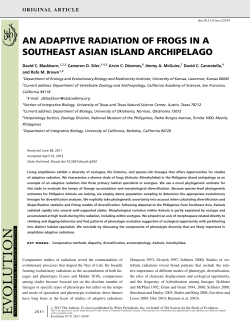 AN ADAPTIVE RADIATION OF FROGS IN A SOUTHEAST ASIAN