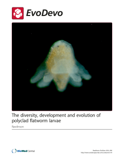The diversity, development and evolution of polyclad flatworm larvae