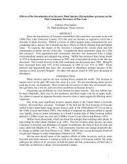 Effects of the Introduction of an Invasive Plant Species