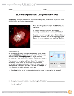 Gizmo Longitudinal Waves
