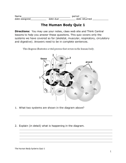 The Human Body Quiz 1
