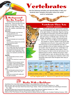 P004-15 Vertebrates