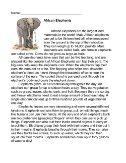 African Elephants