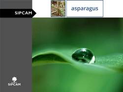 asparagus