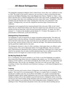 All About Schipperkes - Schipperke Club of America