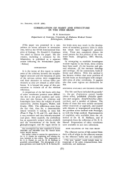 CORRELATION OF HABIT AND STRUCTURE IN THE FISH BRAIN