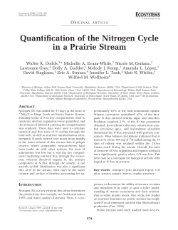 Quantification of the Nitrogen Cycle in a Prairie Stream