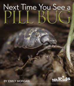 Pill Bugs - National Science Teachers Association