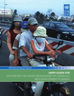 UNDP Guide for Integrating the Sound Management of Chemicals
