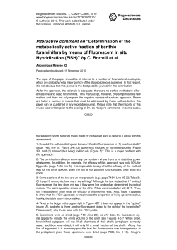 Printer-friendly Version