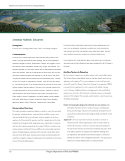 Estuaries - Private Landowner Network