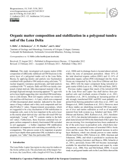 Organic matter composition and stabilization in a