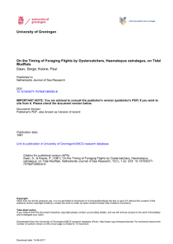 University of Groningen On the Timing of Foraging Flights by