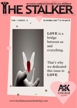 LOVE - American Culture College