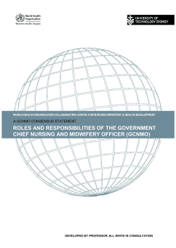 roles and responsibilities of the government chief nursing and