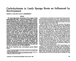 Carbohydrates in Leafy Spurge Roots as Influenced by Environment