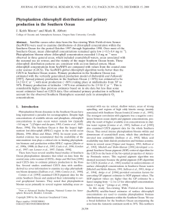 Phytoplankton chlorophyll distributions and primary production in