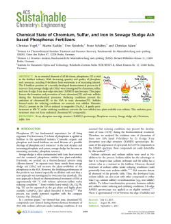 Chemical State of Chromium, Sulfur, and Iron in Sewage Sludge