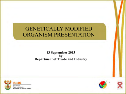 genetically modified organism presentation