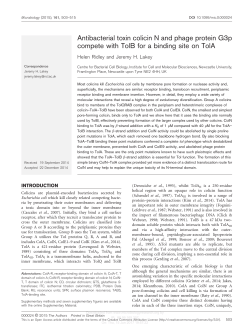 Antibacterial toxin colicin N and phage protein G3p
