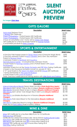 silent auction preview