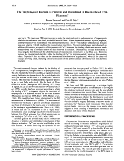 The Tropomyosin Domain Is Flexible and Disordered in