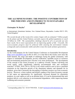 INSTRUCTIONS FOR THE PREPARATION AND