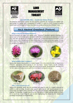 No.2 Habitat Management Toolkit &ndash; Neutral Grassland (Pasture)