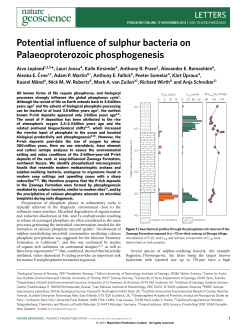 Potential influence of sulphur bacteria on Palaeoproterozoic