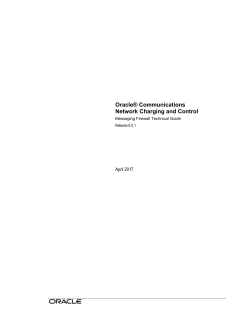 Messaging Firewall Technical Guide