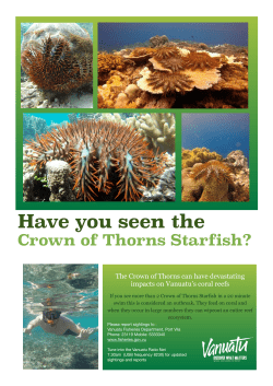 Crown of Thorns Daily Post Article