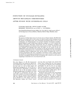 induction of nuclear envelopes around metaphase chromosomes