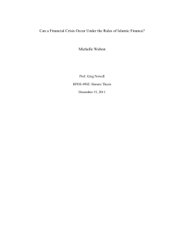 Can a Financial Crisis Occur Under the Rules of Islamic Finance