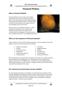Firework Phobias - the Bilton Veterinary Centre