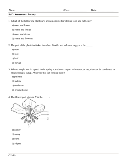 1. Which of the following plant parts are responsible for storing food