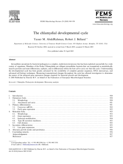 The chlamydial developmental cycle