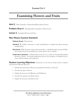Examining Flowers and Fruits